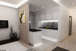 Studio kitchen design 26 sq m