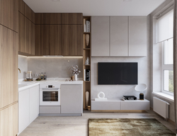 Studio kitchen design 26 sq m