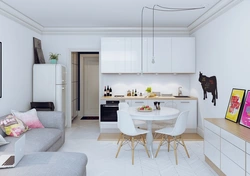 Studio kitchen design 26 sq m