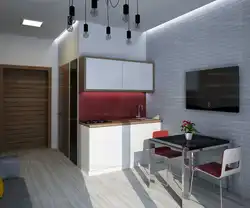 Studio kitchen design 26 sq m