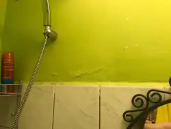 Painting bathroom walls instead of tiles photo