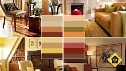 Rules For Color Combinations In The Kitchen Interior