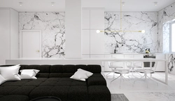 Marble in the living room interior photo