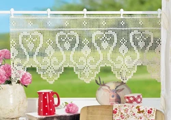 Crochet Tulle For The Kitchen Photo