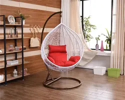 Living Room Design With Hanging Chair