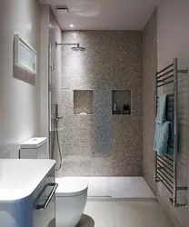 Bathroom And Toilet In One Room Interior With Shower
