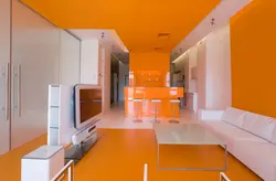 Orange Living Room Photo