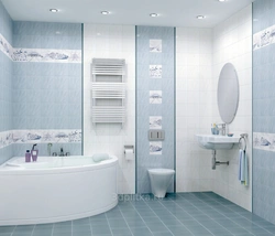 Gray Blue Bathtub Design