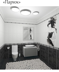 Черный Пол Белые Стены Фото Ванных