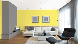 Yellow-gray color in the living room interior