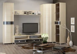 Corner furniture for the living room in a modern style photo