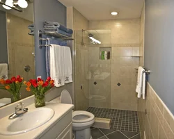 Bath design with shower and toilet photo