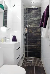 Bath design with shower and toilet photo