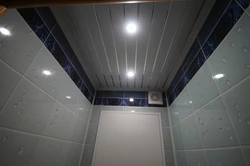 Ceiling Panels Photo Bathroom