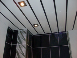 Ceiling Panels Photo Bathroom