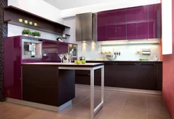 Combination With Wenge Color In The Kitchen Interior