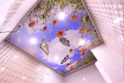 Потолки 3д фото ванной