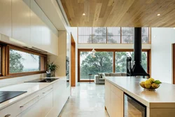 Kitchen in a house with panoramic windows design photo