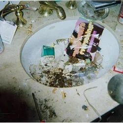 Whitney Houston photo bath