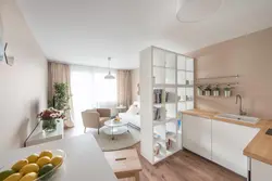 Apartment design with 1 window