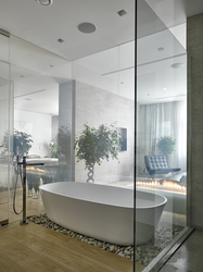 Bath Design With Glass Partition
