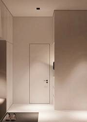 Apartment design with hidden doors