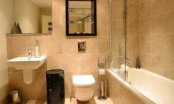Combined Bathroom Photo Ideas