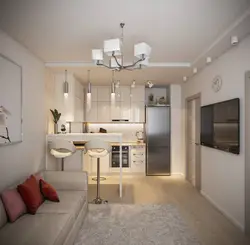 Kitchen living room design 22 m2