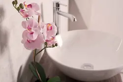 Фото ванна орхидея