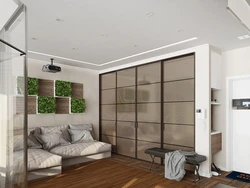 Room design with a partition in a one-room apartment photo