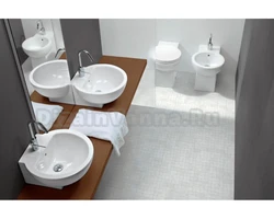 Bathroom Design With Bidet