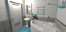 Program for bathroom design and tile selection