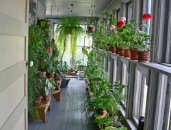 Photo of flowers inside the loggia