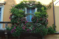 Photo Of Flowers Inside The Loggia