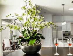 Large flower in the living room interior photo