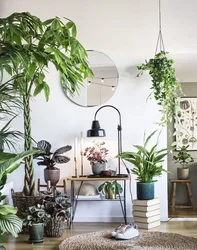 Large Flower In The Living Room Interior Photo