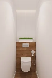 Narrow Toilet Design Photo In The Apartment