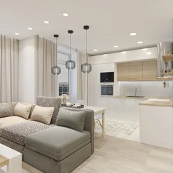 Design Of Built-In Kitchen Living Room