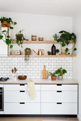 Kitchen With Shelves Real Photos