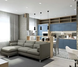 Kitchen Living Room Design 24 Sq.M.