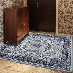Rugs for apartment hallway photo