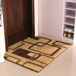 Rugs for apartment hallway photo