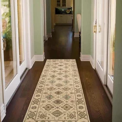 Rugs For Apartment Hallway Photo
