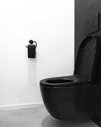 Qara tualet hamamının daxili fotoşəkili