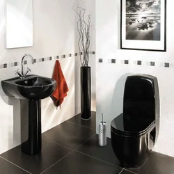 Photo of black toilet bath interior