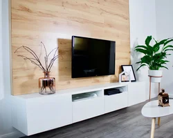 Laminate on the wall in the living room photo for TV