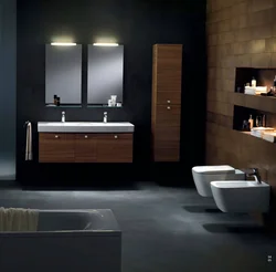 Bath Interior With Dark Furniture