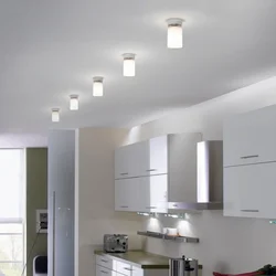 Types of suspended ceilings photos for kitchens with LED