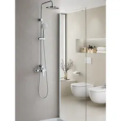 Tropical shower for the bathroom with mixer photo in the bathtub