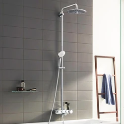 Тропический душ для ванной со смесителем фото в ванне